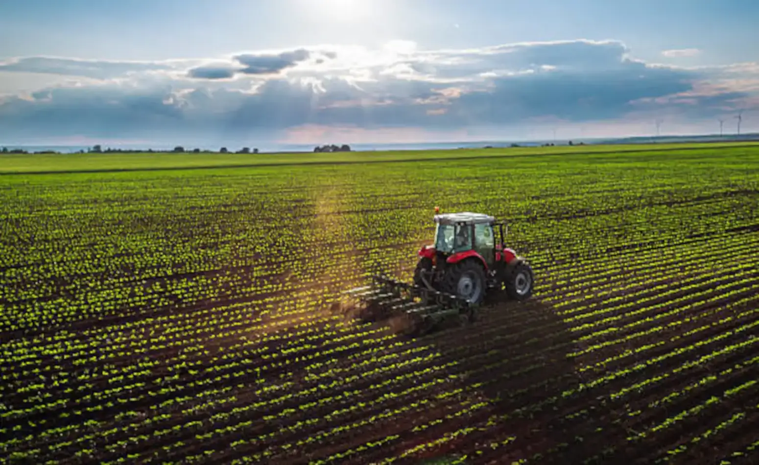 Proyecto Enlaces Productores – Portuguesa